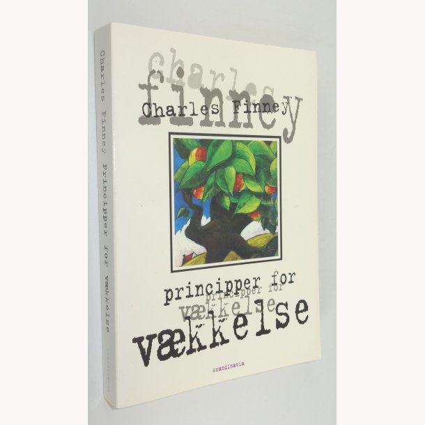 Principper for vkkelse 