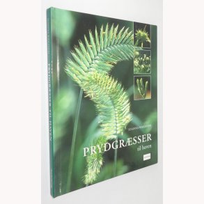 Prydgrsser til haven