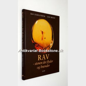 Rav - stenen der flyder og brnder: ke Dahlstrm og Leif Brost