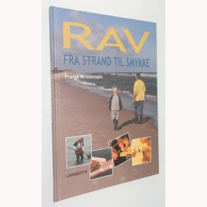 Rav - Fra strand til smykke 