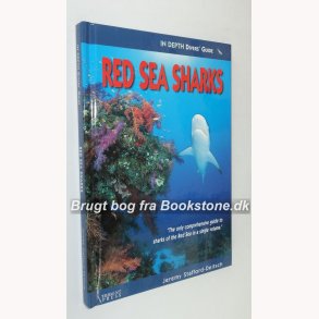 Red  Sea Sharks 