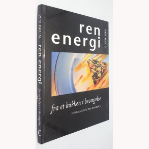 Ren Energi 