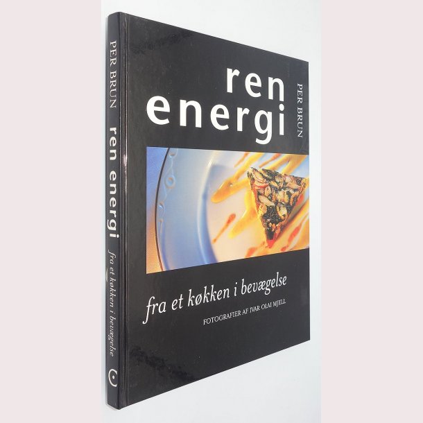 Ren Energi 