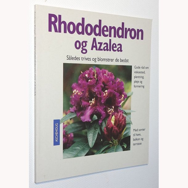 Rhododendron og Azalea