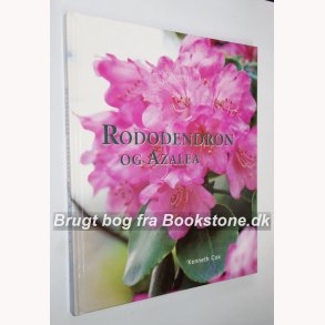 Rododendron og Azalea