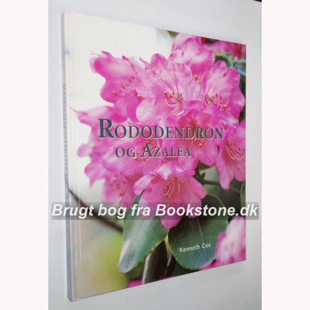 Rododendron og Azalea