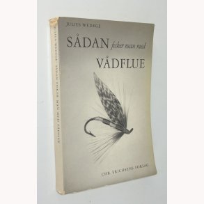 Sdan fisker man med vdflue 