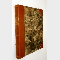 Safari: Martin Johnson