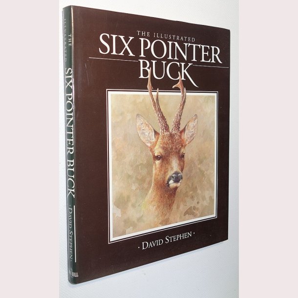 The Illustrated Six Pointer Buck
