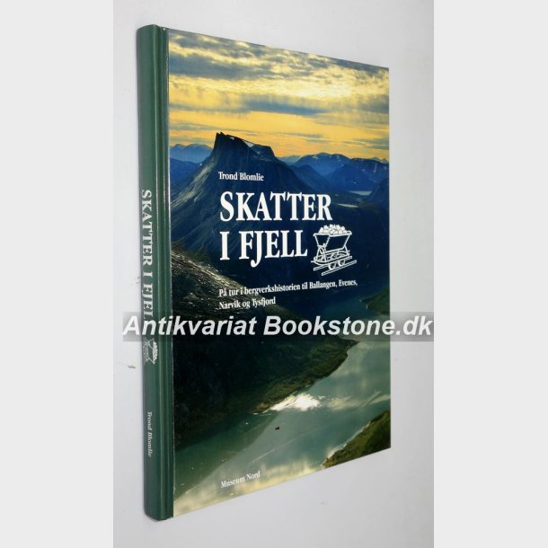 Skatter i fjell af Trond Blomlie