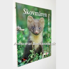 Danske dyr i fare - Skovmren: Ole Laursen