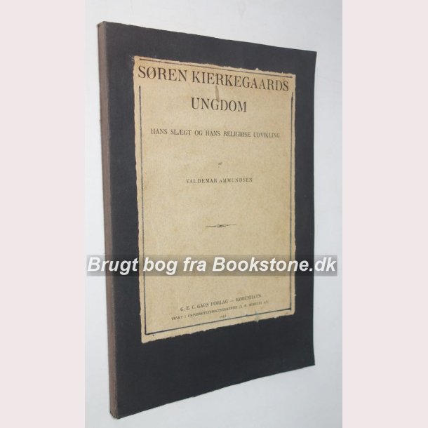 Sren Kierkegaards ungdom 