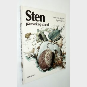 Sten p mark og strand: Arne Noe-Nygaard og Tage Andersen