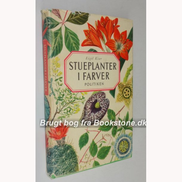 Stueplanter i farver