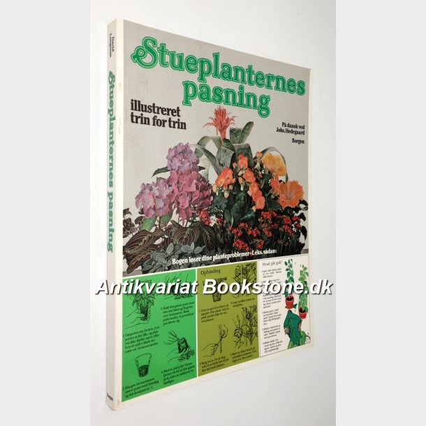 Stueplanternes pasning: David Longman