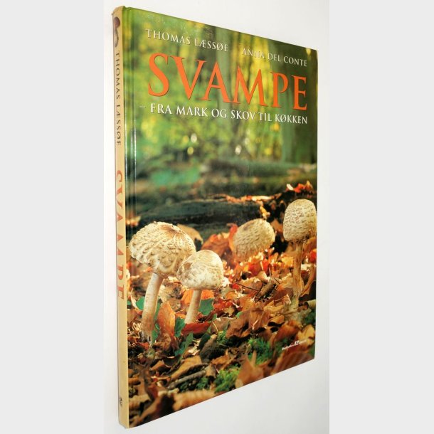 Svampe fra mark og skov til kkken: Thomas Lsse og AnnaDel Conte