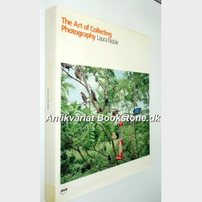 The Art of Collecting Photography:  Laura Noble