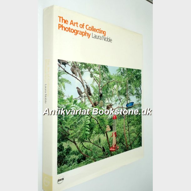 The Art of Collecting Photography:  Laura Noble