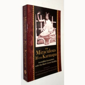 The Miraculous 16th Karmapa: Norma Levine