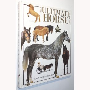 The Ultimate Horse Book