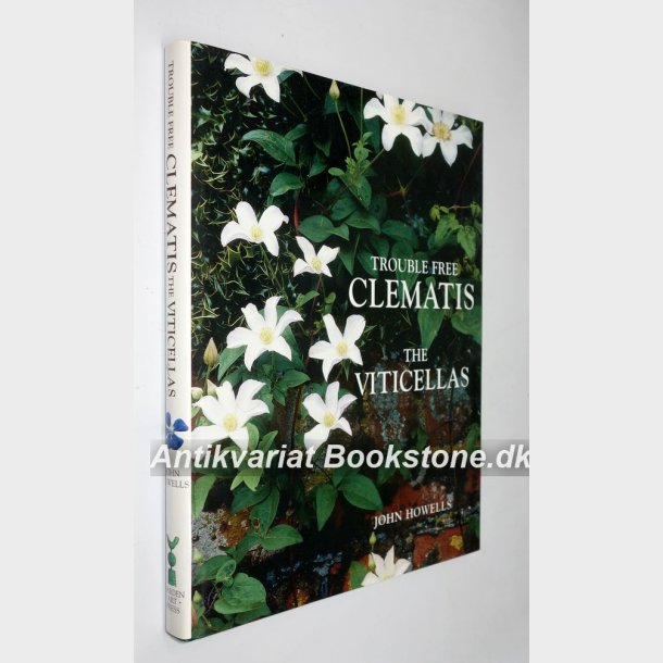 Trouble Free Clematis - The Viticellas