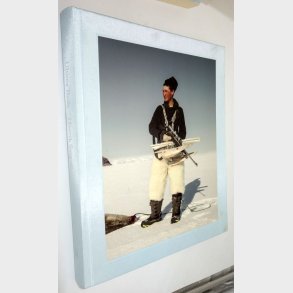 Ultima Thule: Henrik saxgren