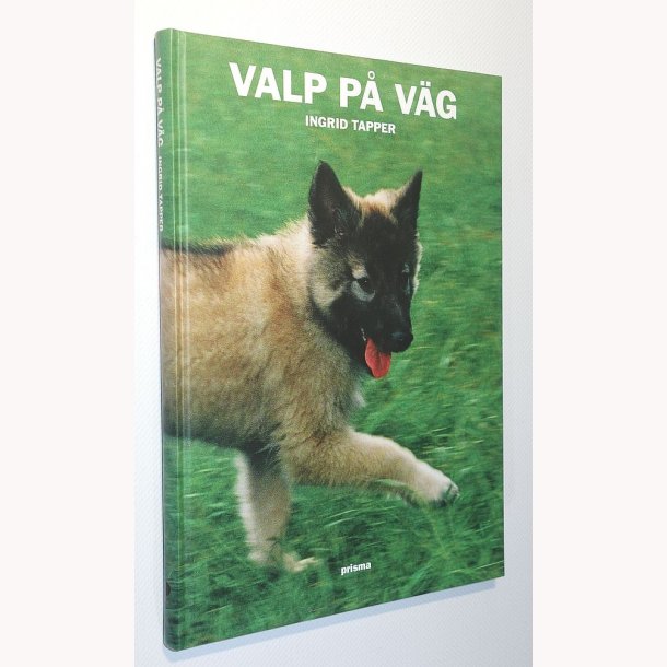 Valp p V&auml;g