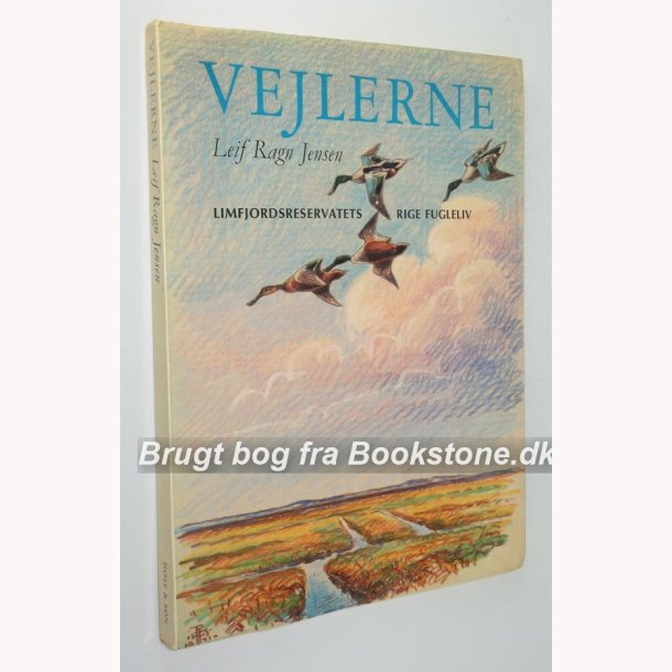 Vejlerne - Limfjordsreservatets rige fugleliv