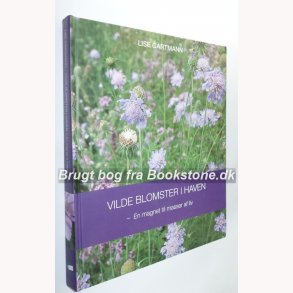 Vilde blomster i haven 