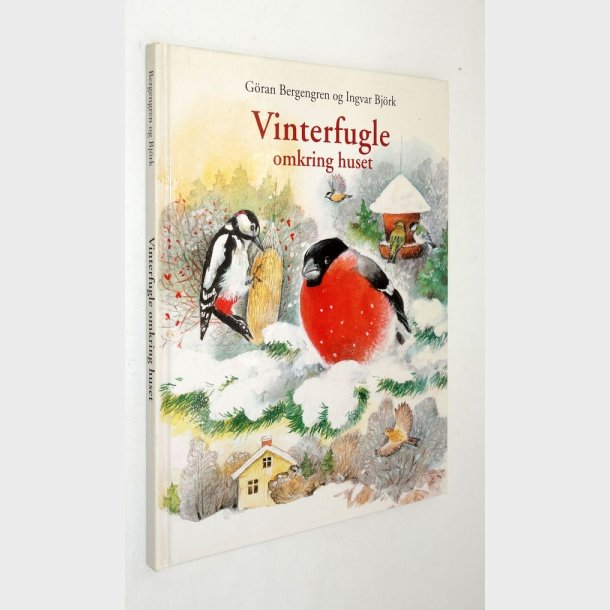 Vinterfugle omkring huset: Gran Bergengren