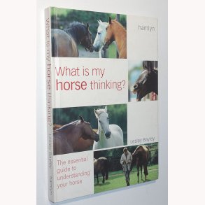 What is my horse thinking?