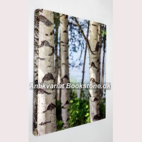 Where Does the Best Pork in the World Come From 