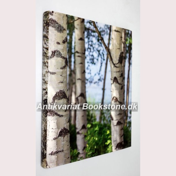 Where Does the Best Pork in the World Come From 