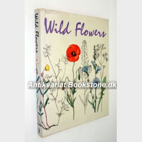 Wild Flowers: J.G. Barton