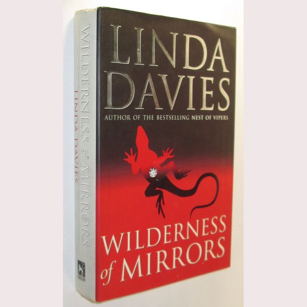 Wilderness of Mirrors