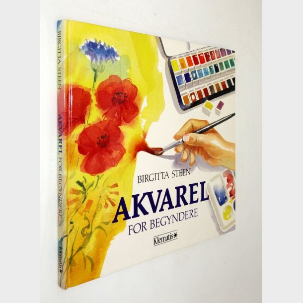 Akvarel for begyndere: Birgitta Steen