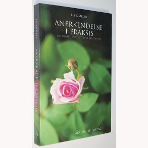 Anerkendelse i praksis