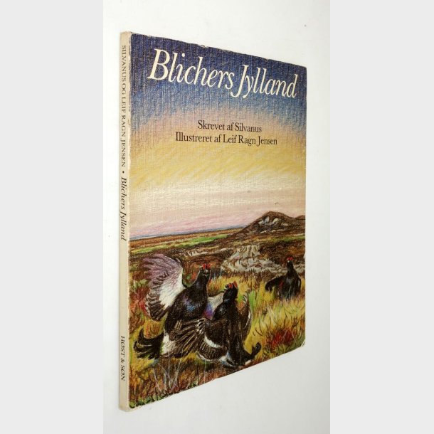 Blichers Jylland: Leif Ragn Jensen &amp; Silvanus - Knud Bavngaard