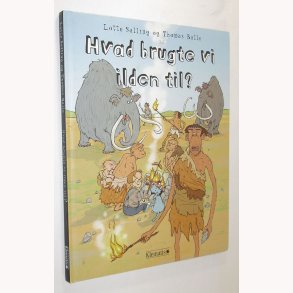 Hvad brugte vi ilden til?