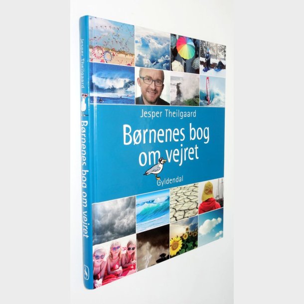 Brnenes bog om vejret: Jesper Theilgaard 