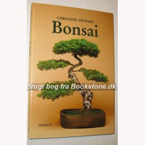 Bonsai: Christine Stewart