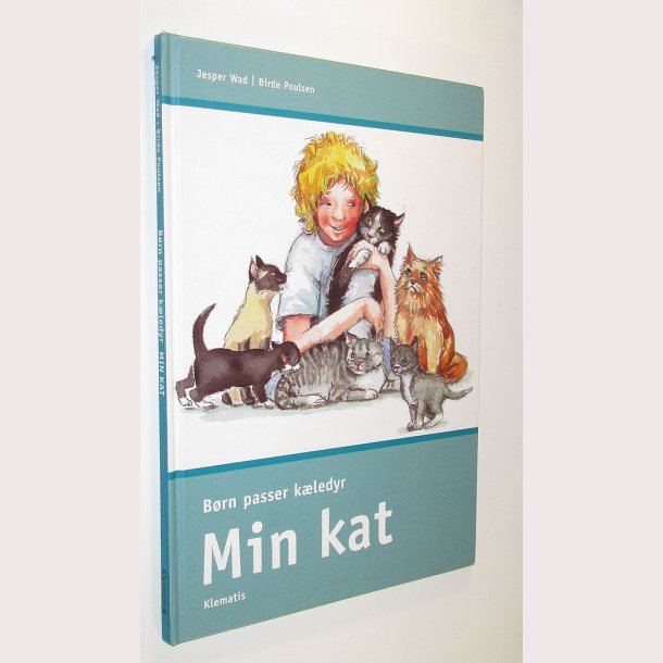 Brn passer kledyr - min kat