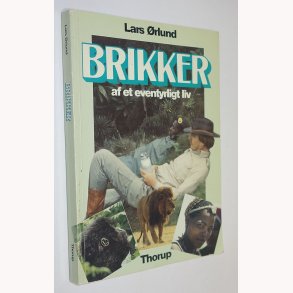 Brikker af et eventyrligt liv