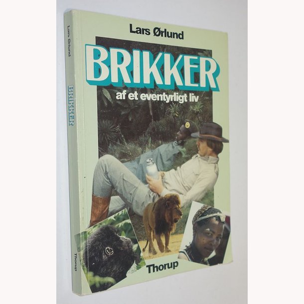 Brikker af et eventyrligt liv