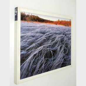 Chased by the Light: A 90-Day Journey: Jim Brandenburg