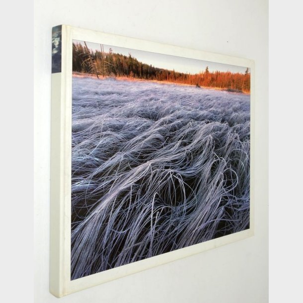 Chased by the Light: A 90-Day Journey: Jim Brandenburg