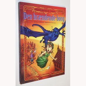 Elverdronningens riddere 3 - Den brndende borg