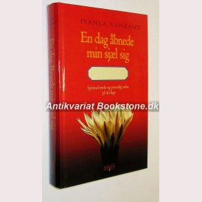 En dag bnede min sjl sig: Iyanla Vanzant