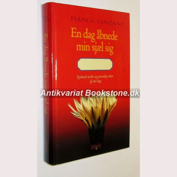En dag bnede min sjl sig: Iyanla Vanzant