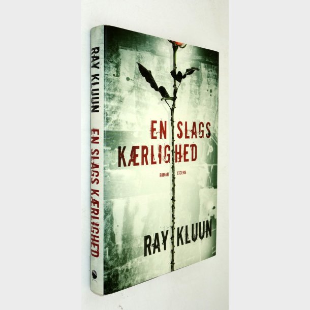 En slags k�rlighed: Ray Kluun